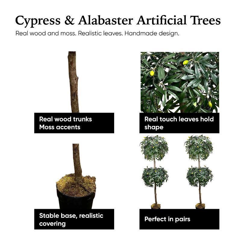 Cypress & Alabaster | Olive Topiary In Growers Pot, 5 of 12