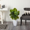 Nearly Natural 34-in Large Philodendron Leaf Artificial Plant in White Metal Planter - image 4 of 4