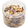 Juvale Tiny Craft Spiral Seashells for DIY Crafts, Home Decor (0.4-1 Inches, 180 Grams) - 4 of 4