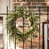 Mixed Eucalyptus Leaf Foliage Wreath with Twig Accents 29"D - 2 of 3