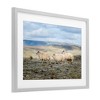 Stupell Industries Three Friends Sheep in Nature Framed Print Under Glass - 2 of 4