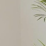 hemp cloth | light gray uk