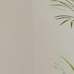 hemp fabric | light gray