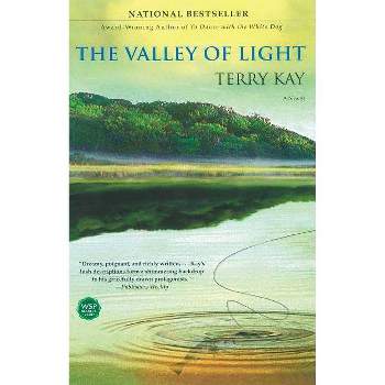 The Valley of Light - by  Terry Kay (Paperback)