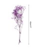 Unique Bargains Natural Dried Baby's Breath Flowers Branches for Wedding Party Decoration Purple 2 Pcs - 2 of 4