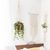 Aoibox Macrame Plant Hanger Indoor Hanging Planter Basket with Wood Beads for Boho Home Decor, 35 Inch, Ivory (Pots Not Included) - 3 of 4