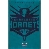 Trends International NBA Charlotte Hornets - Logo 25 Unframed Wall Poster Prints - 4 of 4