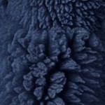 pageant blue