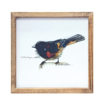 Set of 4 Multicolor Watercolor Bird Prints with Wood Frames