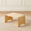 ECR4Kids Bentwood Lap Desk with Handles - image 4 of 4