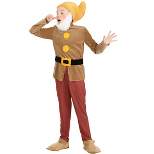 HalloweenCostumes.com Disney's Snow White Boy's Disney Sneezy Dwarf Costume.
