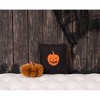 C&F Home 10" x 10" Jack-O-Lantern Orange & Black Reversible Halloween Small/Petite Knit Accent Pillow - 4 of 4
