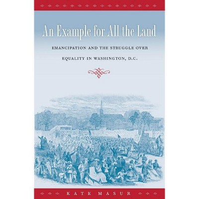 An Example for All the Land - by  Kate Masur (Paperback)