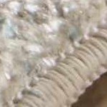 muted blue, sage, beige