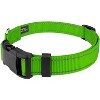 Country Brook Petz Deluxe Reflective Nylon Dog Collar & Leash - 2 of 4