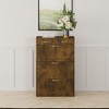 NicBex Shoe Cabinet with 2 Drawers Modern Freestanding Hidden Shoe Storage Cabinet with 3 Flip Drawers for Entryway,Hallway - 2 of 4