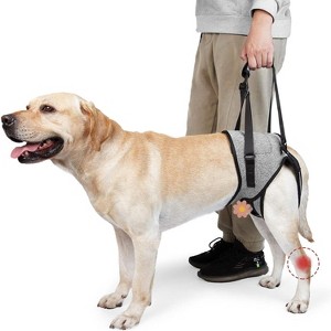 Dog Lift Harness, Pet Rear Support Aid Sling for Old Help with Poor Stability, Back Leg Hip Disabled Joint Injury Elderly, Grey - Small - 1 of 4