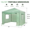 Ainfox Instant Pop-up Greenhouse, Indoor Outdoor Plant Gardening Green House, Roll-Up Zipper Doors and Side Windows - 3 of 4
