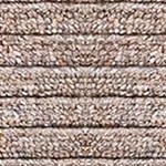 stripe beige