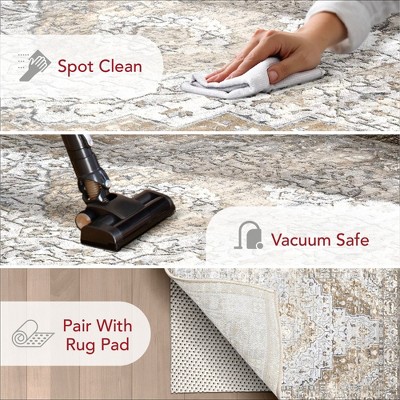Distressed Medallion Thea Multicolor Synthetic Area Rug, 10' x 14'