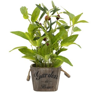 Northlight Artificial Olive Plant in Rustic Pot with Handles - 14" - 1 of 4