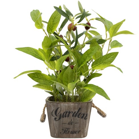 Northlight Artificial Olive Plant in Rustic Pot with Handles - 14" - image 1 of 4