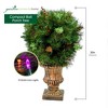 Garden Elements Battery Operated Christmas Compact Ball Porch Tree in Bronze Container, 30in - 2 of 4