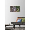 Trends International The Comedy Wildlife Photography Awards: John Blumenkamp - Monday Blahs Unframed Wall Poster Prints - 2 of 4
