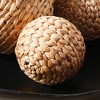 Plum & Post Jace Water Hyacinth Orbs, Natural Decorative Accents, 3pc - 4 of 4
