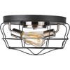 Progress Lighting, Gauge Collection, 2-Light Flush Mount, Graphite Finish, Open Cage Design, Steel Frame - 2 of 4