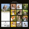 2026 Square Wall Calendar, Beagles, 16-Month Animals Theme, 180 Reminder Stickers (12x12 In) - 4 of 4