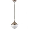 Elk Home Mid Century Schoolhouse 1 - Light Pendant in  Pecan - 3 of 3
