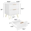 NicBex Modern Nightstand Bedside End Table with 2 Drawers & Metal Legs for Bedroom & Living Room - 4 of 4