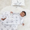 Aden by Aden + Anais Muslin Swaddle Blankets Disney - 4pk - 4 of 4