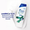 Head and Shoulders 2 in 1 Dandruff Shampoo and Conditioner, Anti-Dandruff Treatment, Itchy Scalp Care for Daily Use, Paraben Free, 12.5 oz - 4 of 4