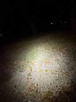 Guest review image 2 of 5, zoom in