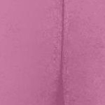 mauve orchid
