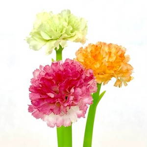 BC Mini - Carnation Flower Gel Pen - 1 of 4
