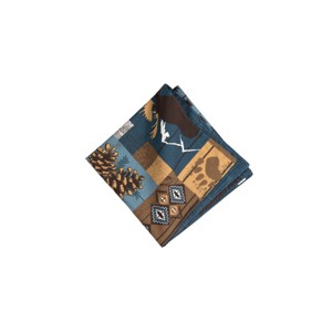 C&F Home Timber Trails Sky Napkin Set of 6 - 1 of 4