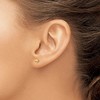 Black Bow Jewelry Reversible 4mm Polished Ball Screw Back Earrings in 14k Yellow Gold - 4 of 4