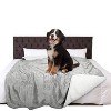 Kritter Planet Waterproof Blanket for Dogs - Washable Furniture Protector, Reversible Fleece Couch Cover, Ideal for Indoor & Outdoor Use - 2 of 4