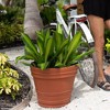 Bloem Rolled Rim Indoor Outdoor Planter Pot Terracotta Orange 21.5"x19.5" - image 3 of 3