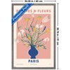 Trends International Reinders: Flowers - Plantes Fleurs Paris Framed Wall Poster Prints - 3 of 4