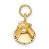 Black Bow Jewelry 14k Yellow Gold Open Back Seashell Charm or Pendant, 10mm (3/8 Inch) - 3 of 4