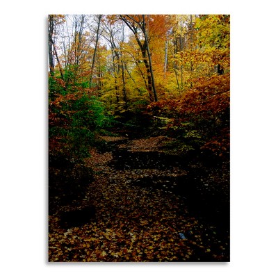 Trademark Fine Art - Kurt Shaffer 'Autumn Stream' Floating Brushed Aluminum Art