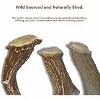 WhiteTail Naturals Split Deer Antler Chew – 1-Pack for Large Dogs – Long-Lasting, All-Natural, Odor-Free & USA Made - 4 of 4