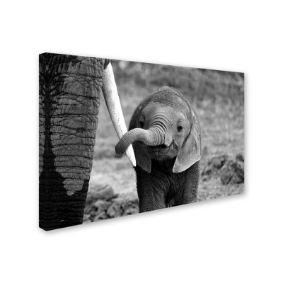 Trademark Fine Art -Bjoern Alicke 'Close' Canvas Art