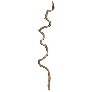 Vickerman 38-45" Twisted Vine, Dried - 1 of 4