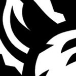 north carolina state wolfpack