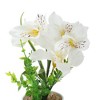 Unique Bargains Artificial Plants Five-Headed Daffodil Bonsai Plastic 2.76"x2.76"x9.45" 1 Pcs - 4 of 4